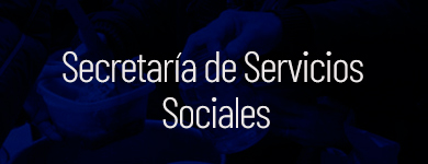 //luzyfuerzarosario.com/wp-content/uploads/2020/10/Secretaria_de_Servicios_Sociales.jpg